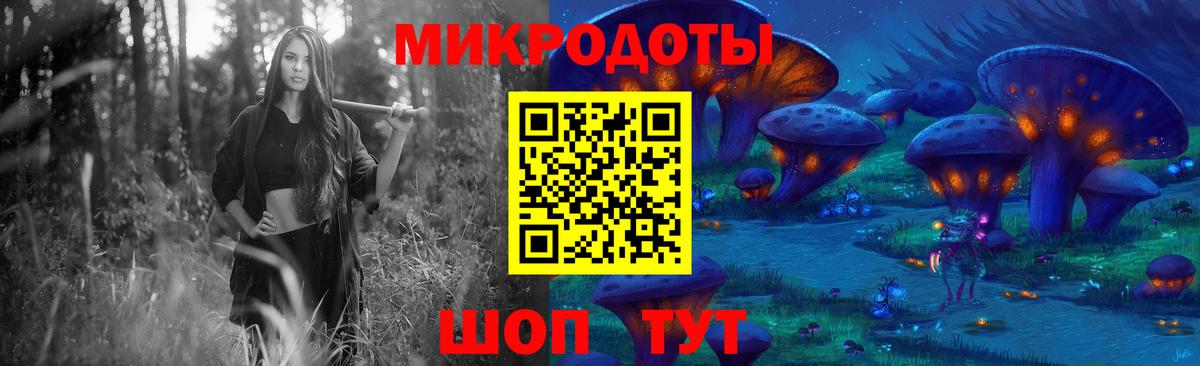 Псилоцибиновые грибы мицелий Сланцы