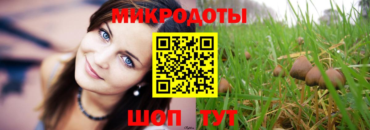 Псилоцибиновые грибы Cubensis  Псилоцибиновые грибы Psilocybe  Сланцы  Вход с VPN 